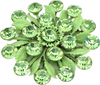 60s Green Burst Flower Brooch