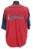 90s Starter Pinstripe Cardinals Baseball Jersey  XL